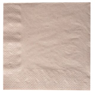 Servietten / Recyclingpapier / 2-lagig / 200 St&uuml;ck