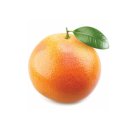 doTERRA Grapefruit / Den Körper ehren / 15 ml