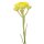 doTERRA Helichrysum / Strohblume / 5 ml