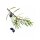 doTERRA Juniper Berry / Wacholderbeeren / 5 ml