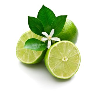 doTERRA Lime / Limette / Lebensfreude /15 ml