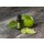 doTERRA Lime / Limette / 15 ml