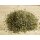 doTERRA Oregano / 15 ml
