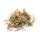 doTERRA Vetiver / Zentrierung / 15ml