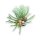 doTERRA Siberian Fir / Sibirische Fichte / 15ml