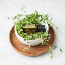 doTERRA Thymian / 15ml