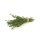 doTERRA Thymian / 15ml
