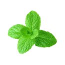 doTERRA Spearmint / 15ml