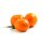 doTERRA Tangerine / Mandarine / 15ml