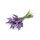 doTERRA Lavendel Touch / 10 ml