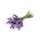 doTERRA Lavendel Touch / 10 ml / Einzelöl
