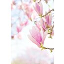 doTERRA Magnolia Touch / 10 ml