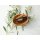 doTERRA Cassia / 15ml
