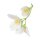 doTERRA Jasmine Touch / 10 ml