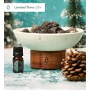 Lava Rock Passive Bowl Diffuser & 5 ml Himalayan Fir...