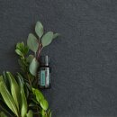doTERRA Balance / 5ml