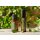 doTERRA Shinrin-Yoku / Waldbaden-Mischung Touch