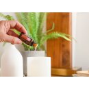 doTERRA Endless Summer