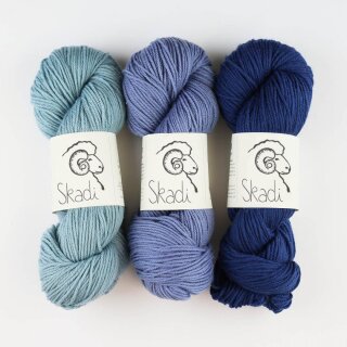 Skadi Merino dArles GOTS 100g