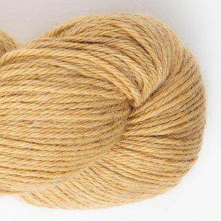 toasted wheat-4116