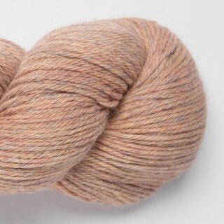 macaroon-4110