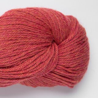 rasperry-4103