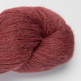 plum-4104