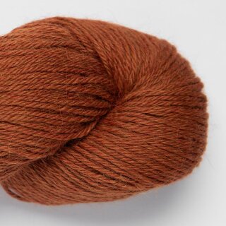 roasted chestnut-4101
