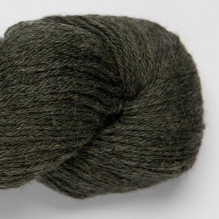fern-4105