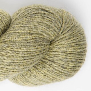 dry thyme-4118