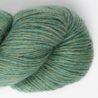 artichoke-4117