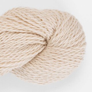 cantaloopy-2819