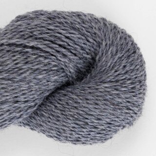 comet blue-2809