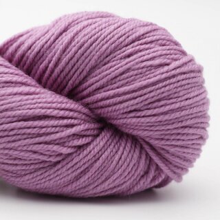 phlox lila-11