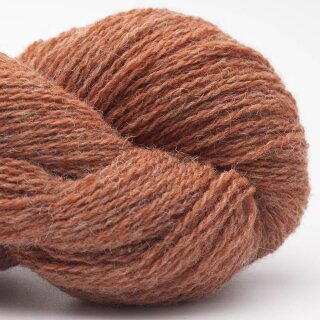 br&auml;unlich-orange-62