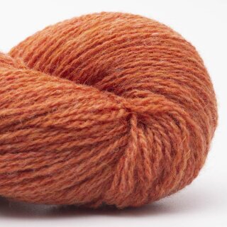 orange-37