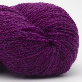 fuchsia-27