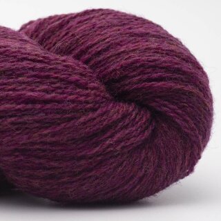 pflaume-31