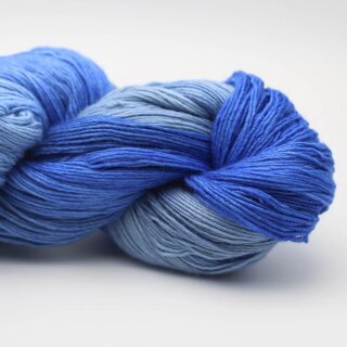 delft-2455